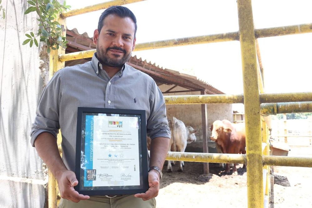 Obtiene Rastro de Guadalajara certificación internacional