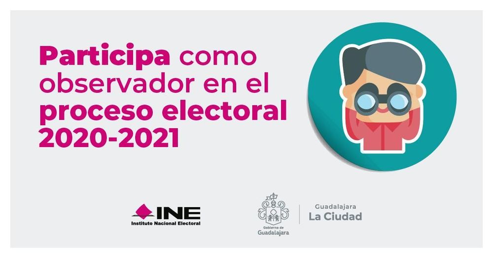 Participa como observador en el proceso electoral 2020-2021