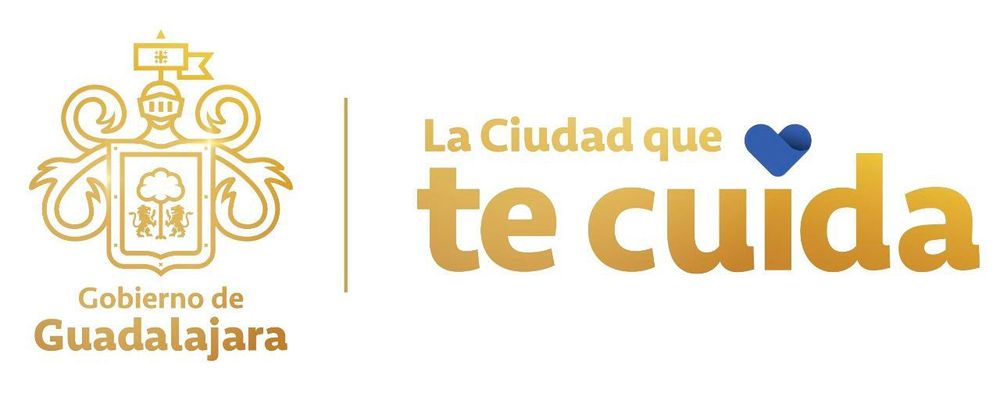 Lonas del primer informe de Vero Delgadillo en Palacio Municipal NO SON espectaculares