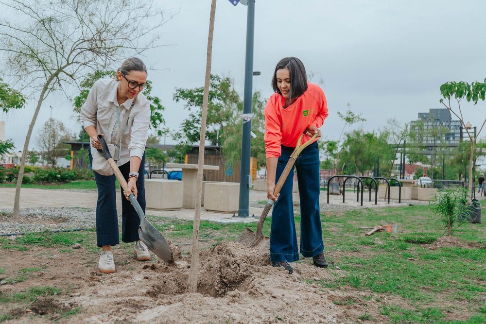 Plan para convertir a Guadalajara en la ciudad más verde de México continúa: plantan 200 árboles en La Normal