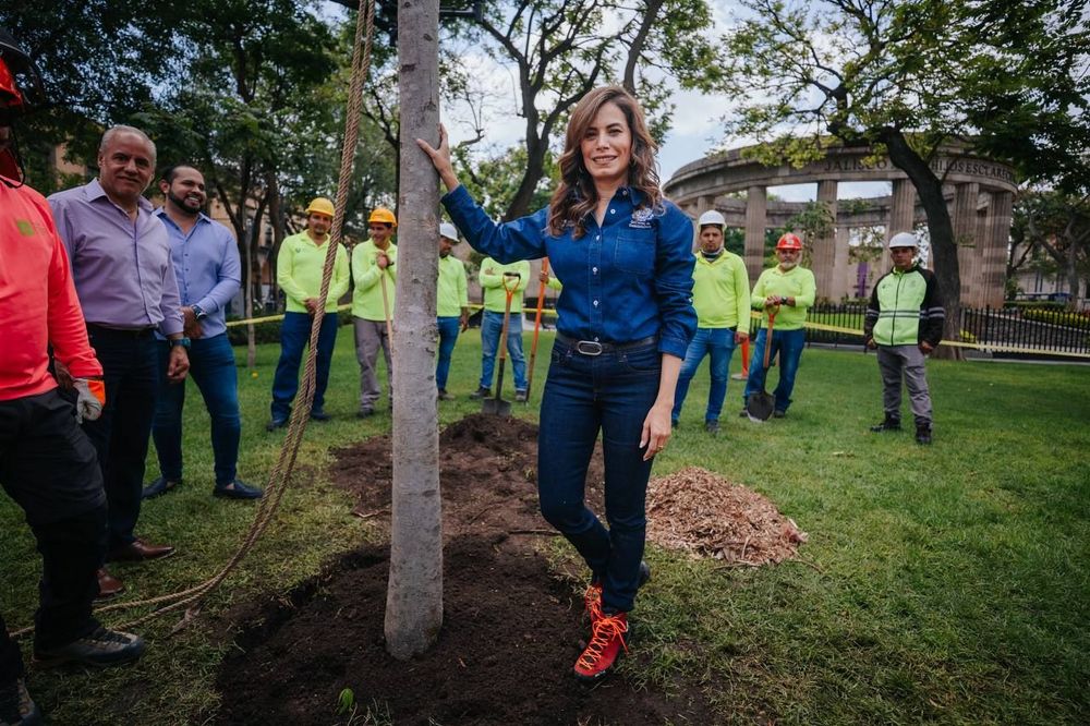 Presenta Verónica Delgadillo plan de arbolado urbano para convertir a Guadalajara en la ciudad más verde de México  