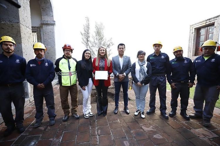 Como compromiso de paz y colaboración, plantan olivo en Guadalajara