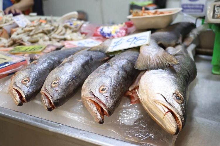 Emite recomendaciones Servicios Médicos Municipales de Guadalajara para manejo de alimentos del mar