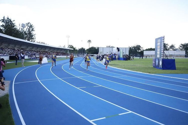 Participa Francisco Ramírez en entrega de reconocimientos a atletas jaliscienses destacados en CONADE y Juegos Olímpicos París 2024
