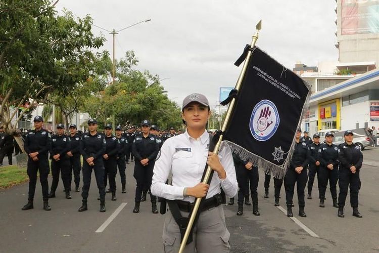 Tiene la Comisaría de Seguridad Ciudadana una División Especializada en la atención a la Violencia de Género