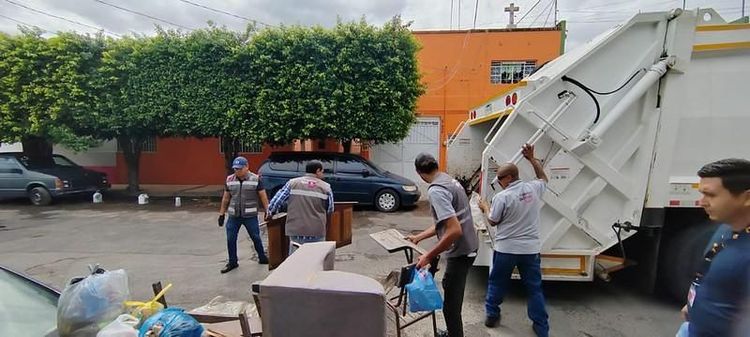Ataca Guadalajara la proliferación del mosquito transmisor del dengue