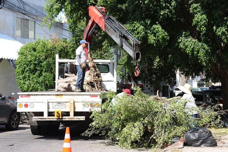 Intensifica Guadalajara labores de mantenimiento urbano previo al temporal de lluvias